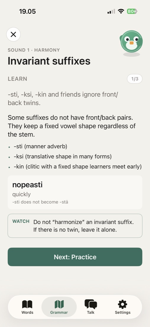 Grammar lesson on invariant suffixes